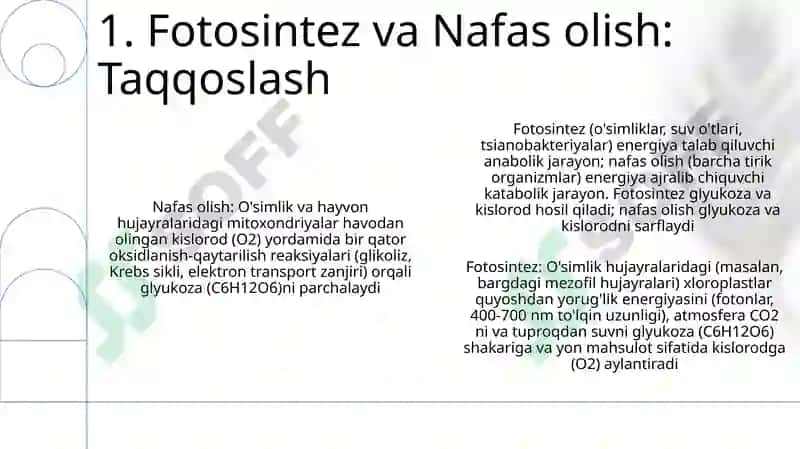 Oʻsimliklarda uglevodlar sintezi 3