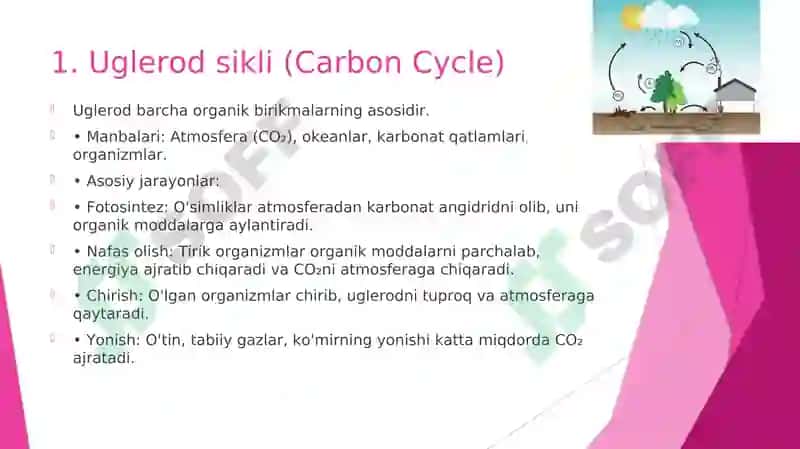 Eng muhim biogen moddalarning biogeokimyoviy sikllari 3