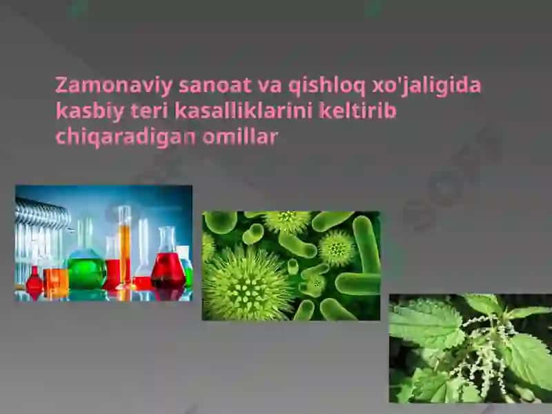 Kasbiy Teri Kasalliklari 3