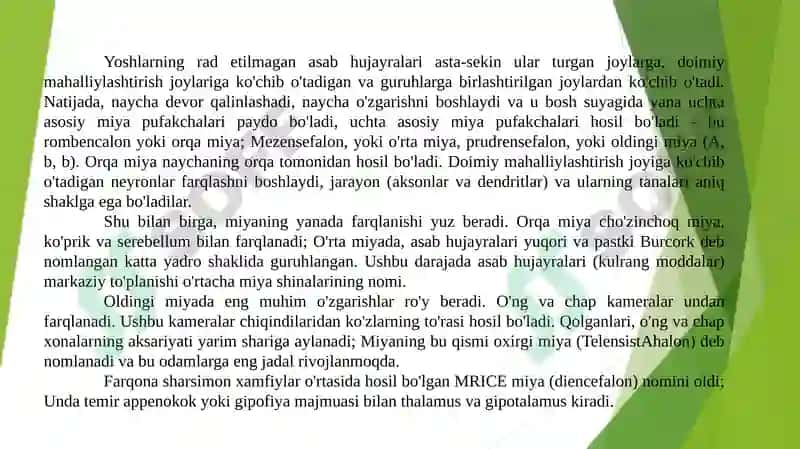 Nerv tizimi Neyron tarmoqlari 3