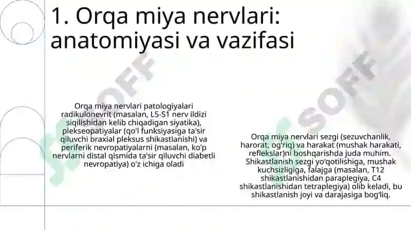 Bosh miya va orqa miya nervlarining tuzilishi funksiyasi patalogiyasi va shikastlanish sindromi 3