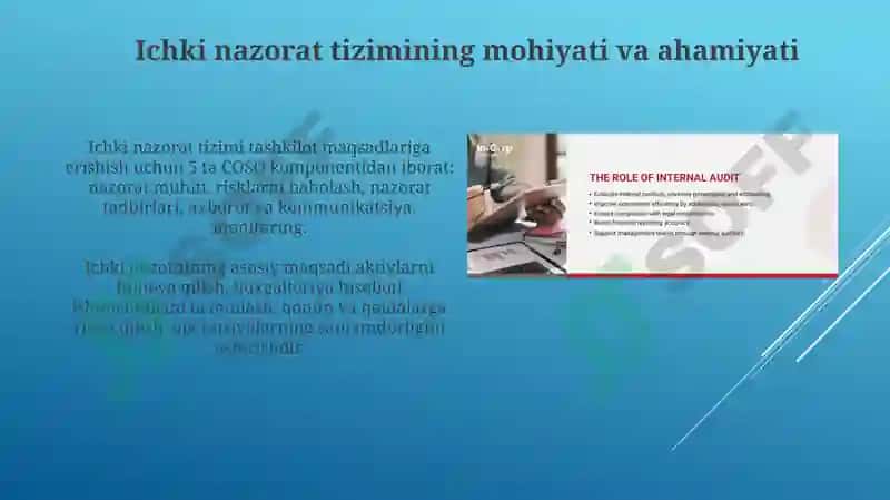 Ichki nazorat tizimi 3