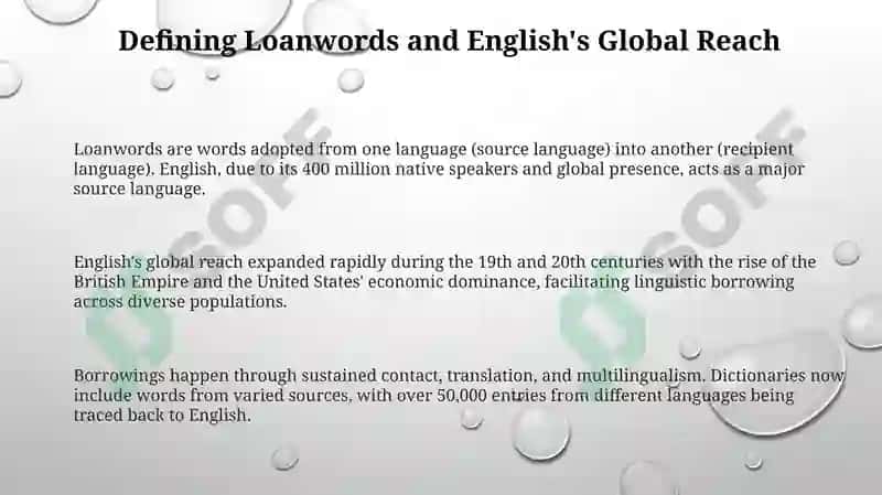 Loanwords and Borrowings: Influence of English on Native Language 3