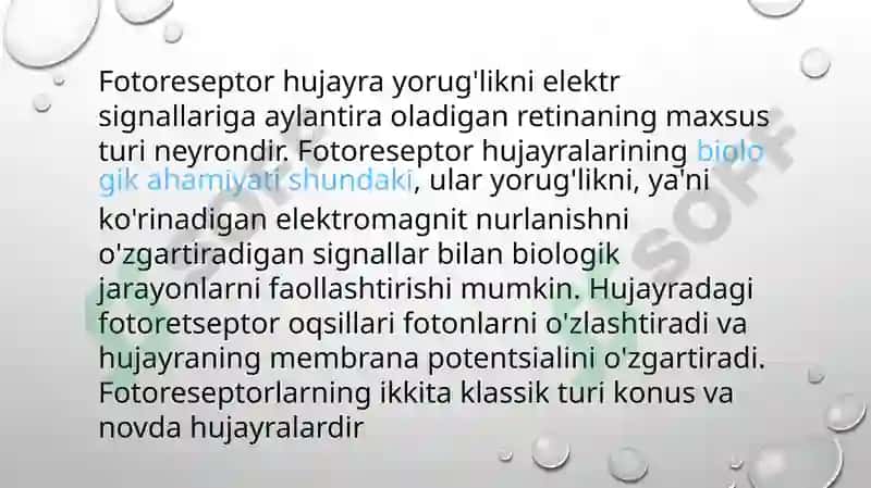 Fotoretseptsıya körısh hujayralarınıng tuzıshı 3