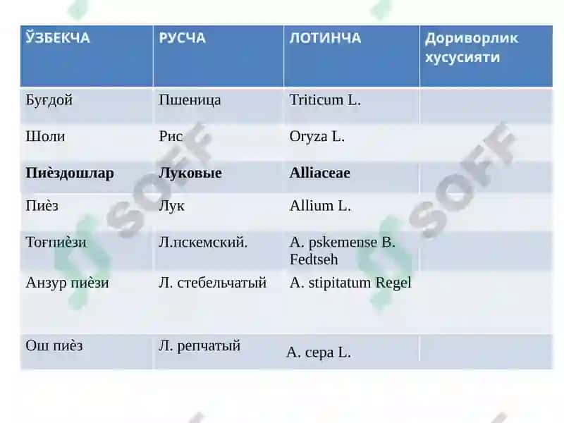 ЎзбекистонингистиқболлидоривориворЎсимликлари 3