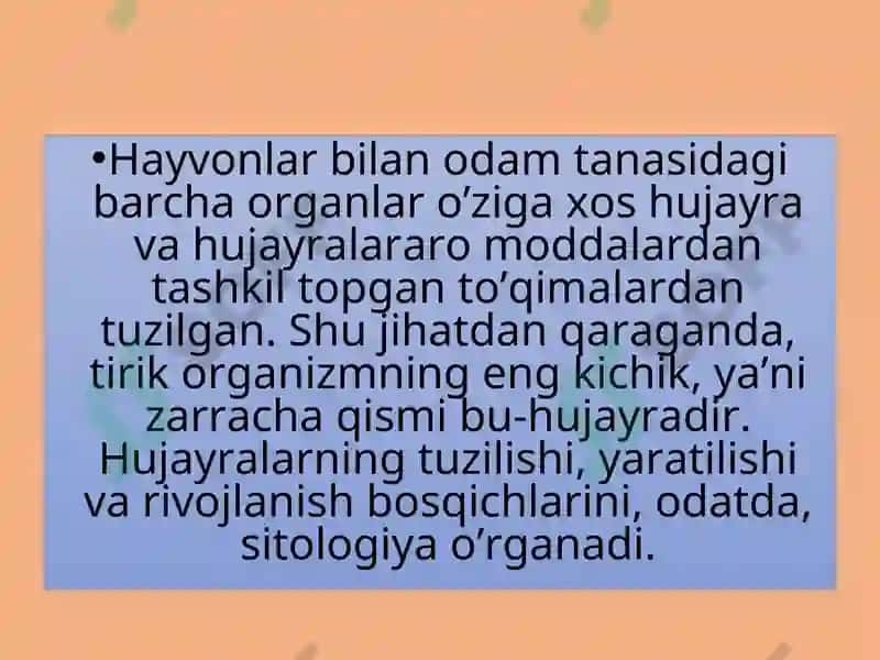 Hujayra Tuzilishi 3