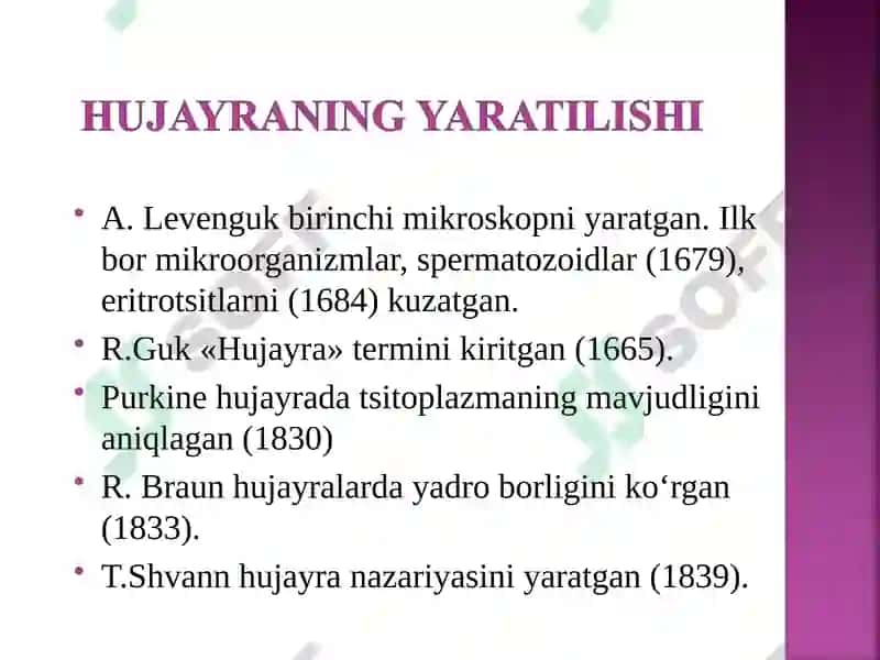 MA’RUZA REJASI 3