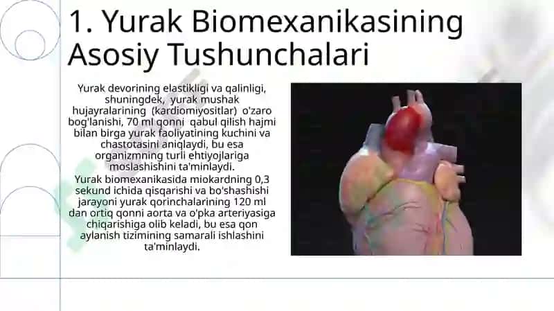 Yurak biomexanikasi elementlari 3