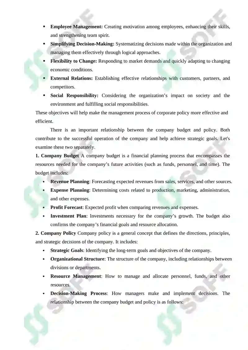 Budget and Policy in Enterprise Strategic Objectives 3