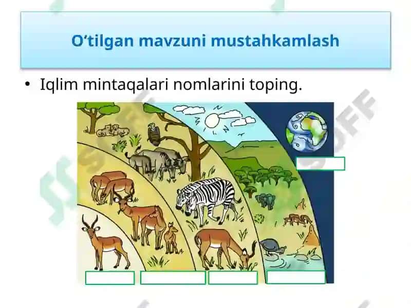 EKOSISTEMALARDA ENERGIYA OQIMI 3