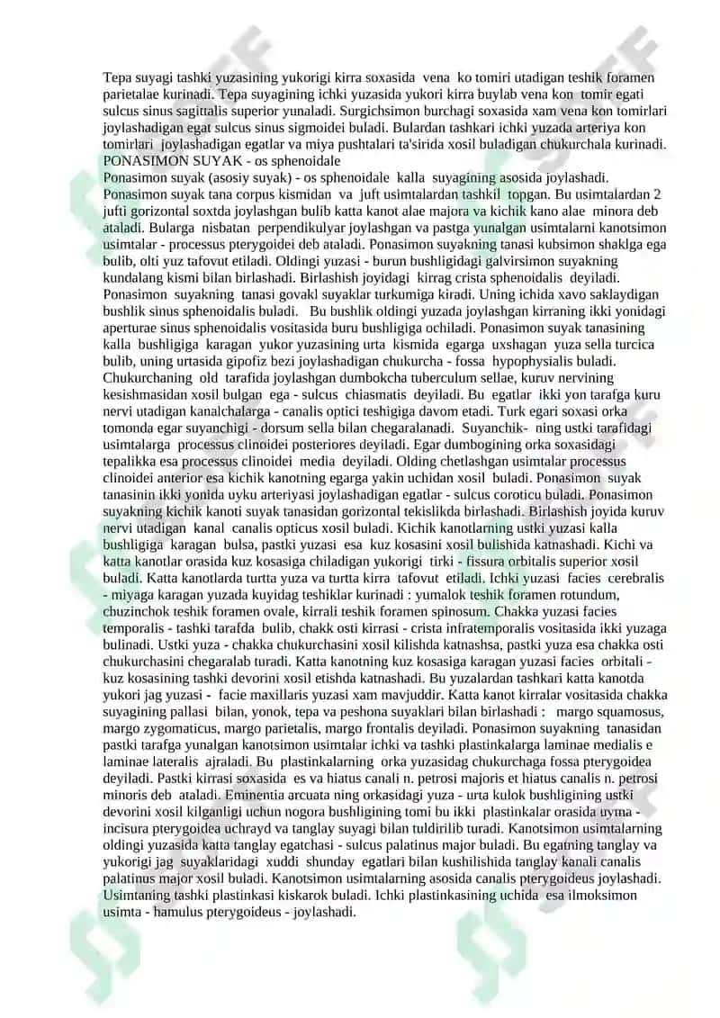 Kalla suyagi miya va yuz qismlarining tuzilishi va birikishi 3