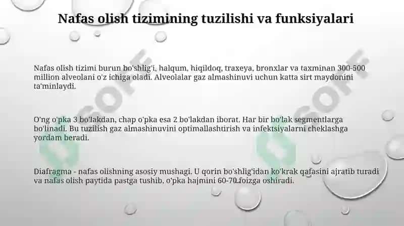 Nafas olish organlari 3