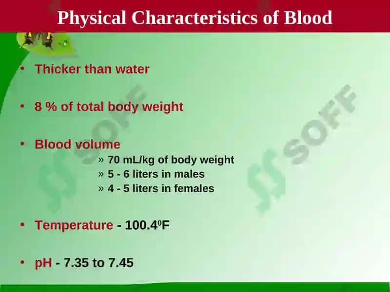 Blood 3