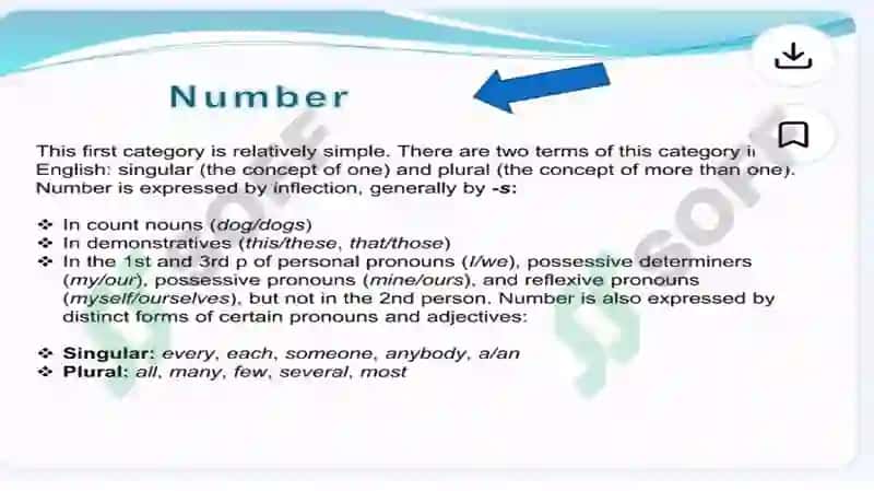 GRAMMATICAL CATEGORIES 3