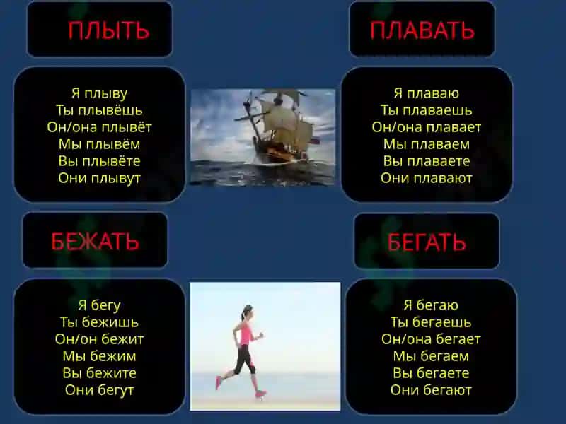 ГЛАГОЛЫ ДВИЖЕНИЯ 3
