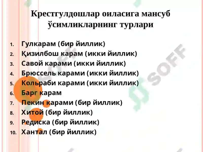 КЕРСТГУЛДОШЛАР ОИЛАСИГА МАНСУБ ЭКИНЛАРНИНГ ЧАТИШТИРИШ УСУЛИ ВА ТЕХНИКАСИ 3