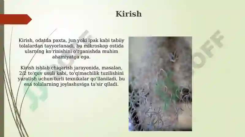 Paxta, zig'ir va ipakning mikroskop ostidagi ko'rinishi 3