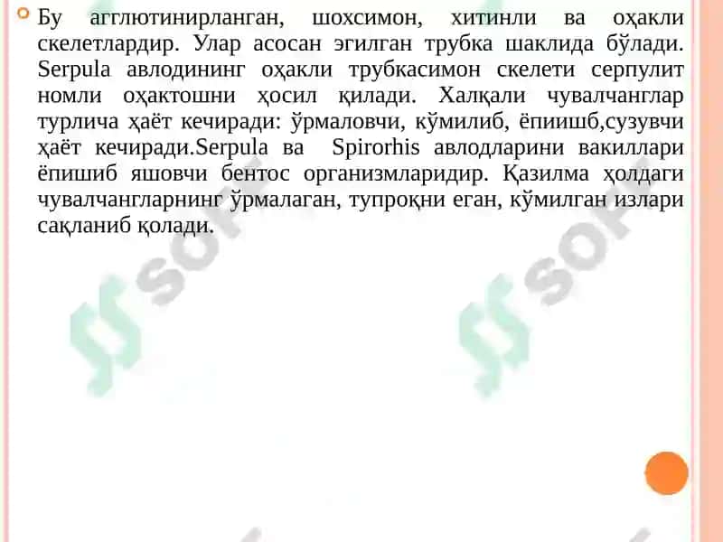 Халқали чувалчанглар тури 3