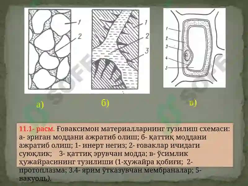 Ғоваксимон 3