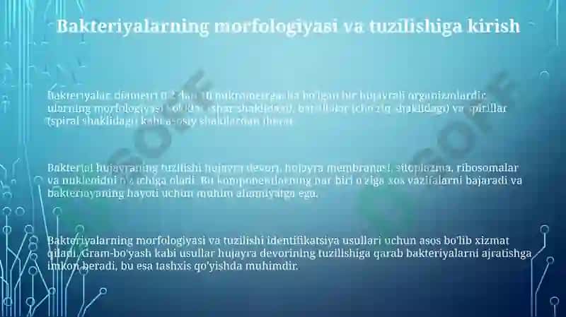 Bakteriyalarning morfologiyasi va tuzilishi 3