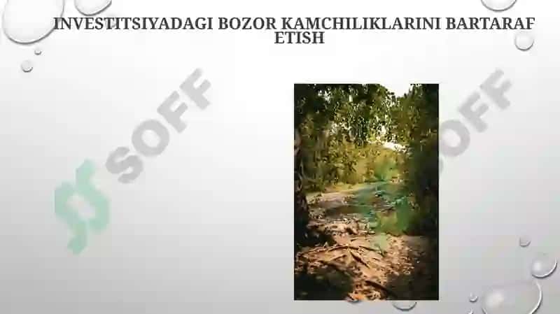 Investitsiya faoliyatini muvofiqlashtirishda davlatning roli 3