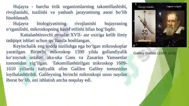 Hujayra organoidlari va ularda boradigan jarayonlar 3