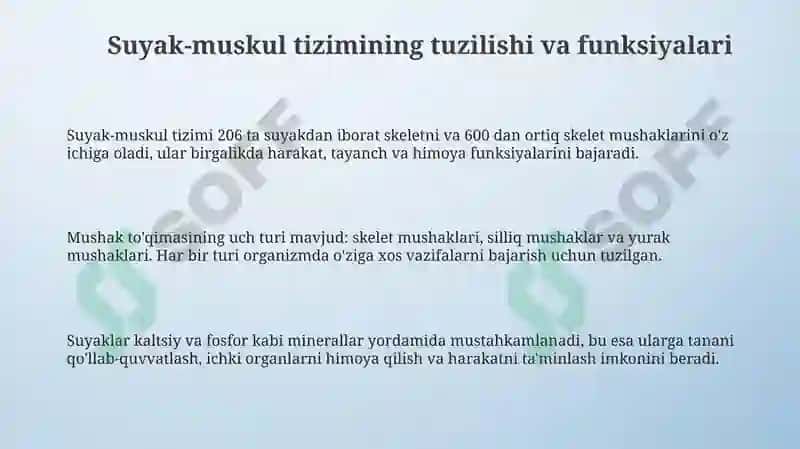 Tayanch harakatlanish sistemasi. Skelet va muskullar 3