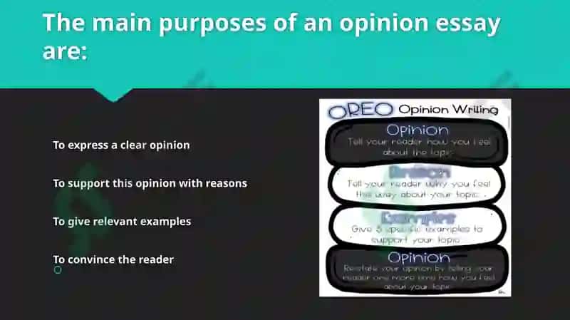 Opinion Essay Structure 3