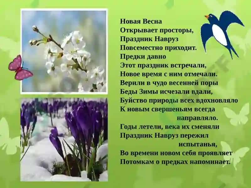 Навруз 3