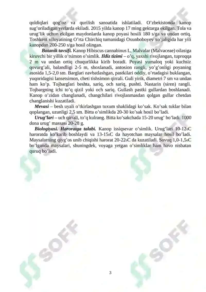 Kanop morfologiyasi,biologiyasi va yetishtirish texnologiyasi 3