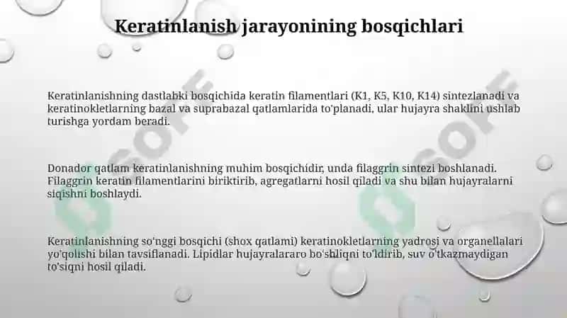 Keratinizatsiya jarayonlari haqida zamonaviy tasavvurlar 3