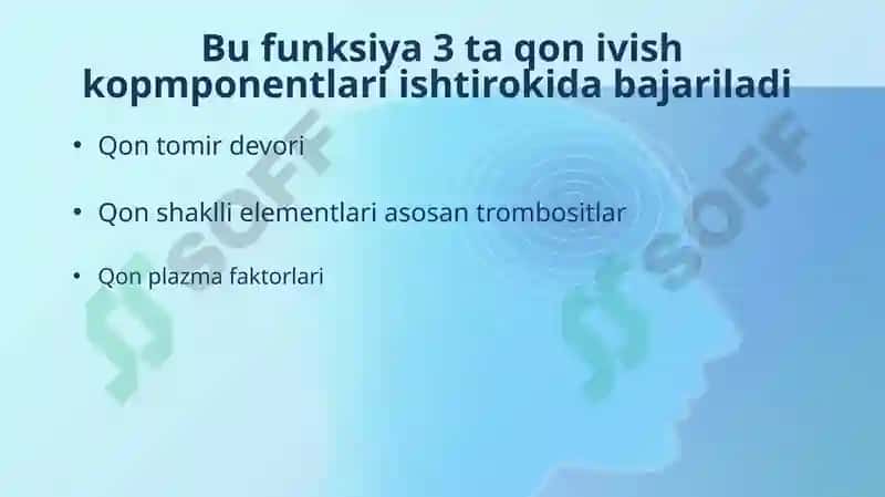 Qon ivish tizimi laborator diagnostikasi 3