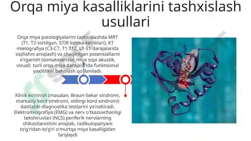Orqa miya patologiyasi 3