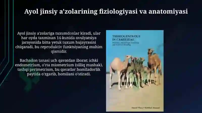 Ayollar jinsiy azosi fizologiyasi va patologiyasi hays sekli 3