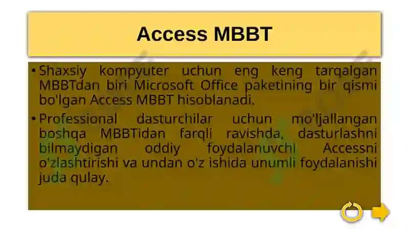 Microsoft Access 3