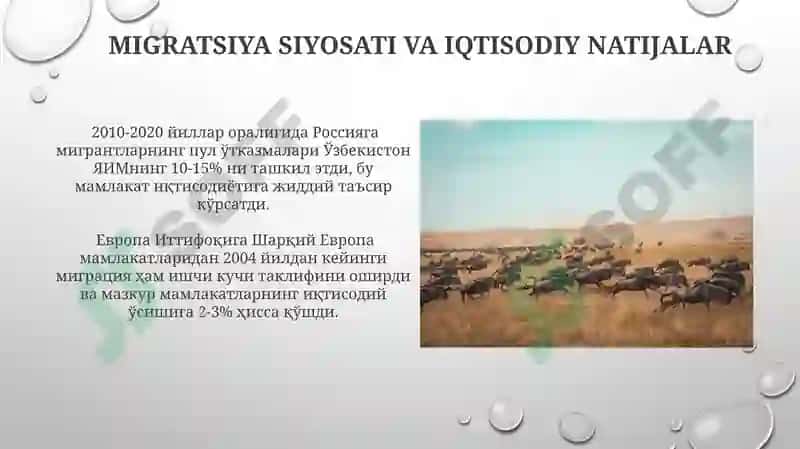 Migratsiya siyosati va iqtisodiy natijalar 3