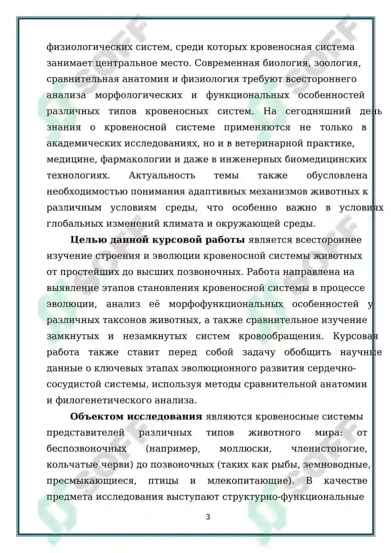 Строение и эволюция кровеносной системы животных 3