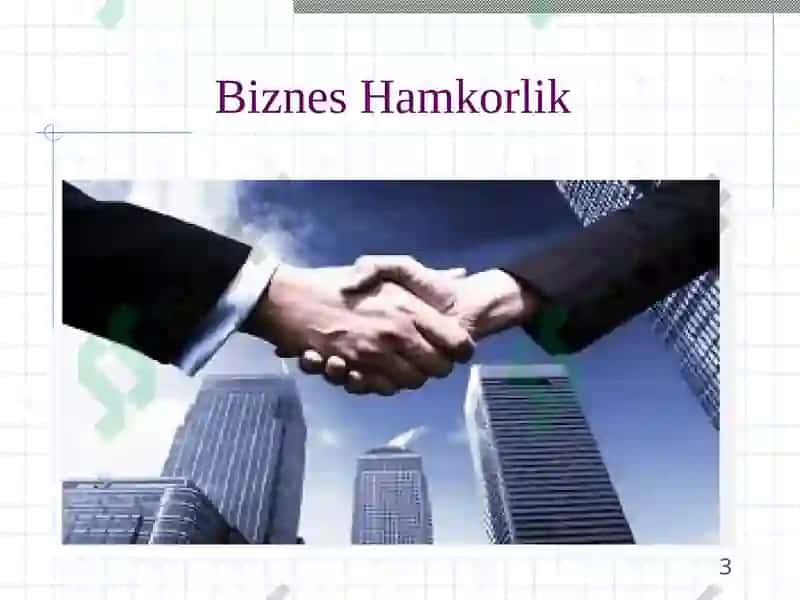 Biznesni tashkil etish turlari 3