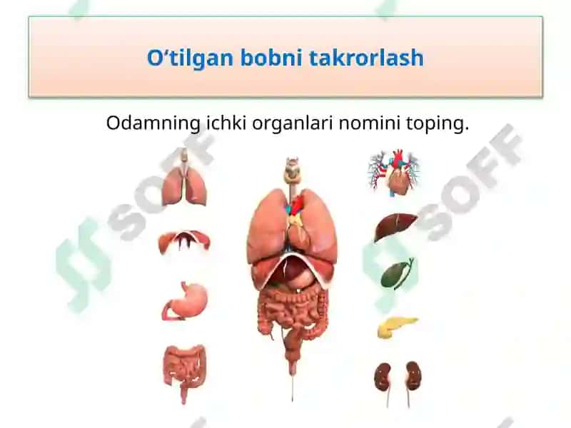 Iqlim 3