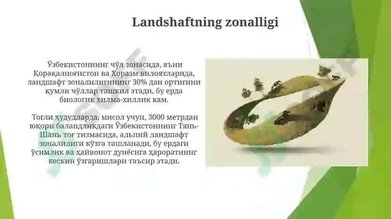 Landshaft haqida tushuncha 3
