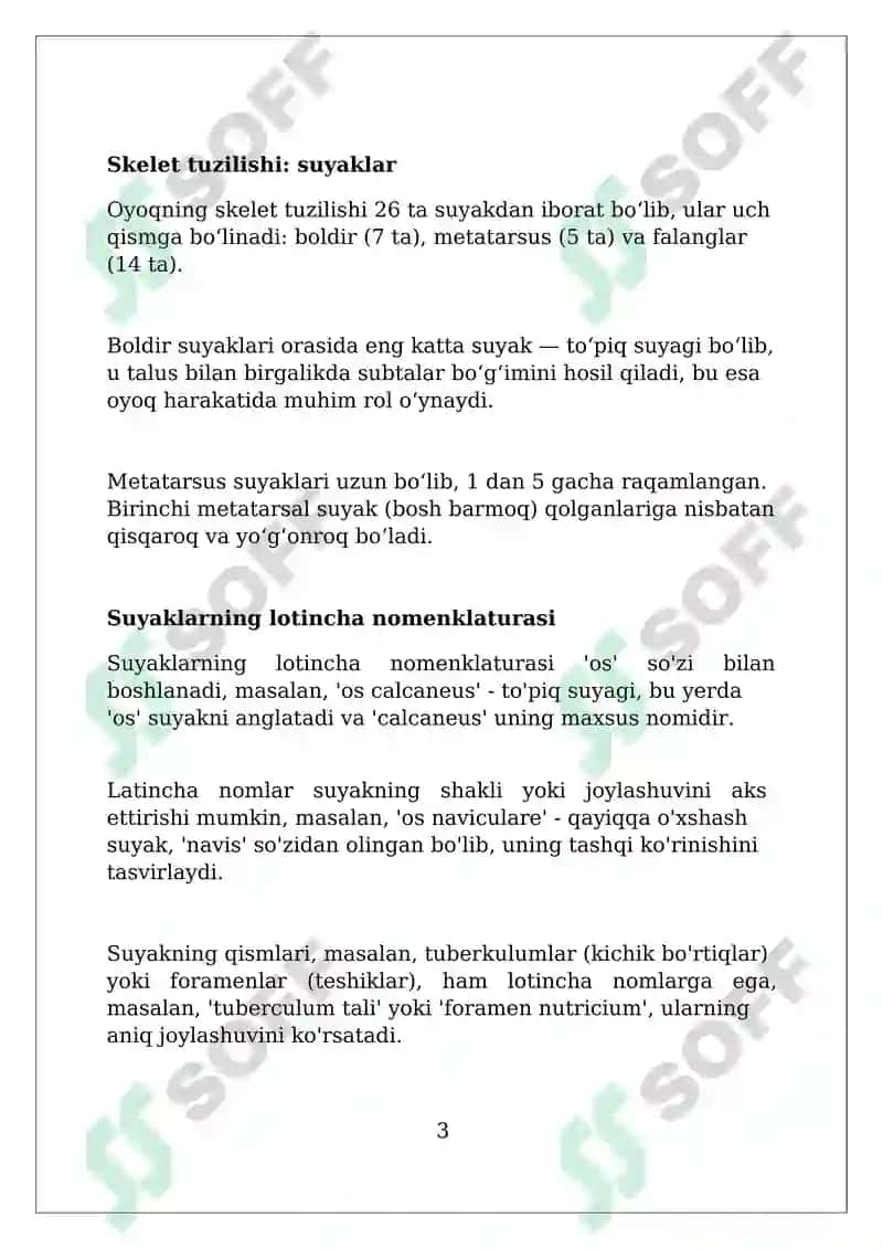 Anatomiya fanidan oyoq va uning tuzilishi vazifalari va lotincha nomlanishi 3