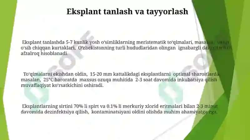 Embrional xosil qiluvchi toqimalar va ularning qishloq xo'jaligidagi axamiyati 3