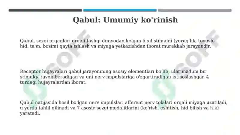Qabul qilish, retseptor hujayralari, tuzilishi va funksiyasi 3