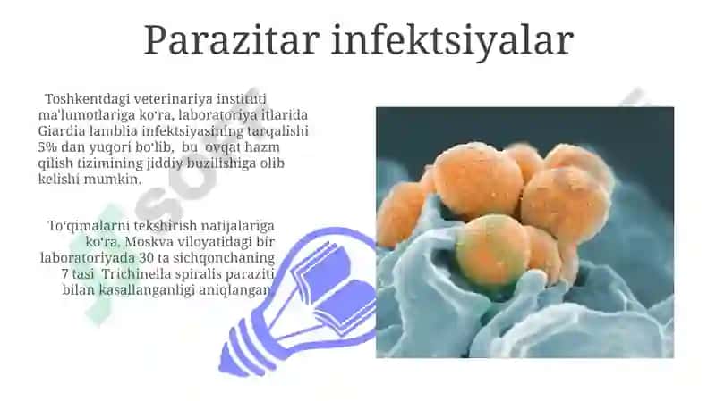 Laboratoriya hayvonlarining yuqumsiz kasalliklari 3