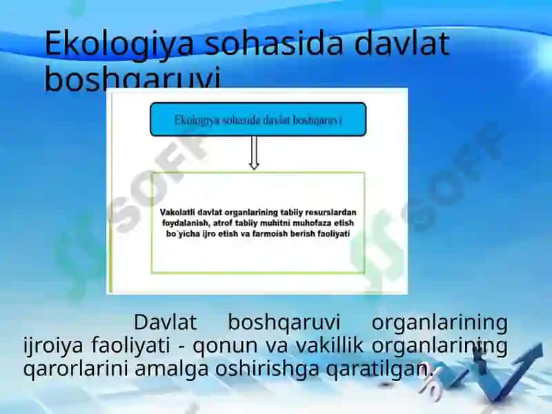 Ekologiya sohasidagi davlat boshqaruvi uning prinsiplari, shakl va funksiyalari 3