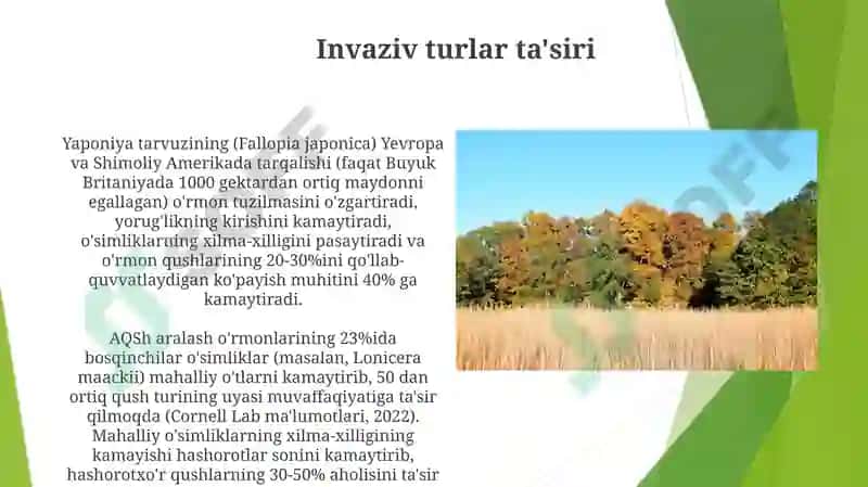 Aralash kasrni natural songa ko’paytirish 3