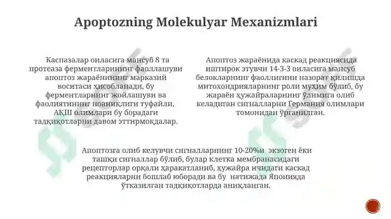 Dasturlashtirilgan Hujayra O'limi: Apoptoz nima? 3