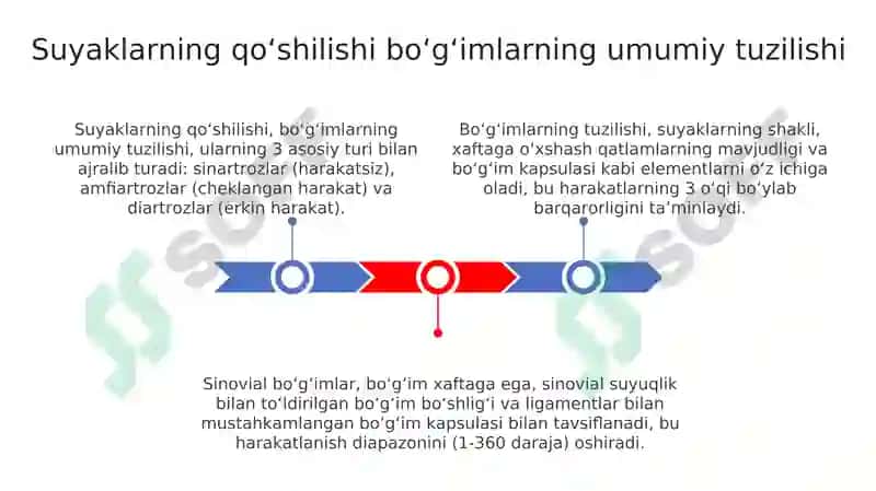 Suyaklarning birlashuvi boʻgʻimlarning umumiy tuzilishi 3