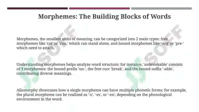 Fundamentals of Morphology 3
