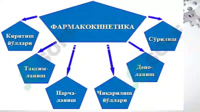 Умумий Фармакология. Фармодинамика ва Фармокинетика 3